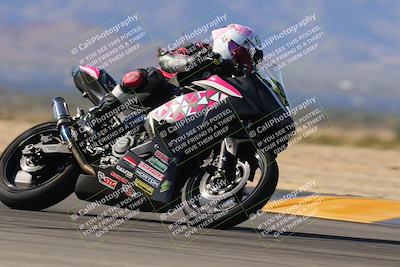 media/Nov-11-2023-SoCal Trackdays (Sat) [[efd63766ff]]/Turn 8 Set 2 (1040am)/